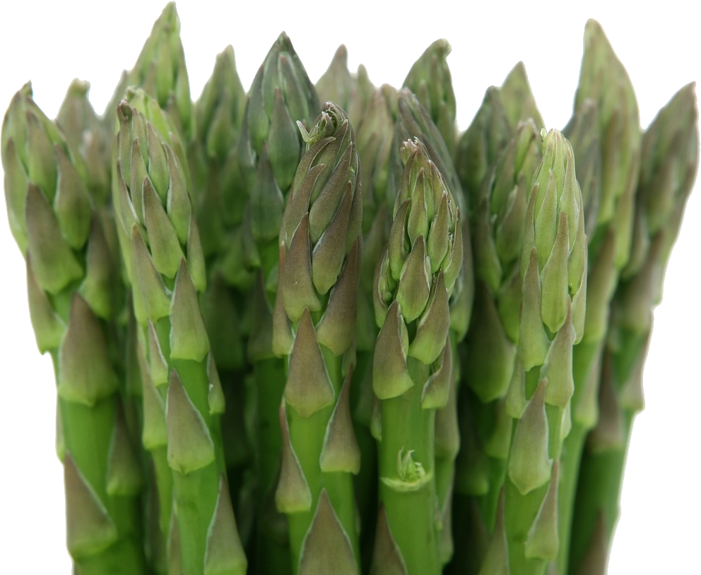 Garden Asparagus (992x814), Png Download