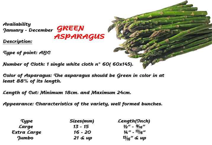 Contact - - Dirty Gardener Mary Washington Asparagus (1280x489), Png Download