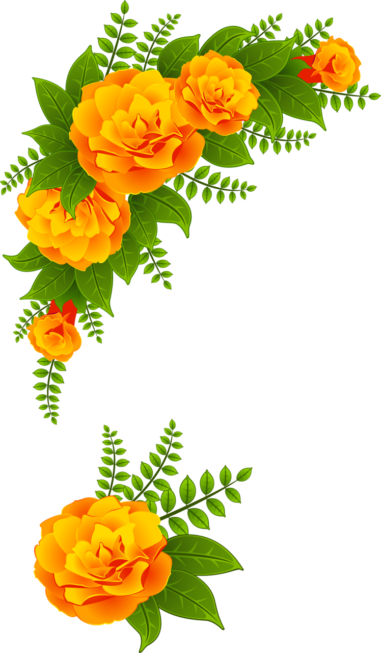 0 6909c De084416 Orig - Portable Network Graphics (748x1280), Png Download