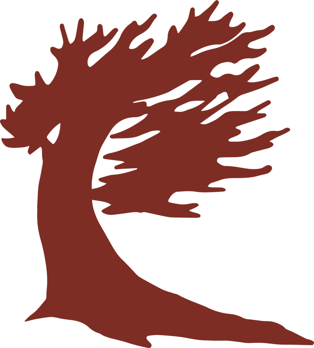 Bristlecone Icon Red Format=1000w (1000x1111), Png Download