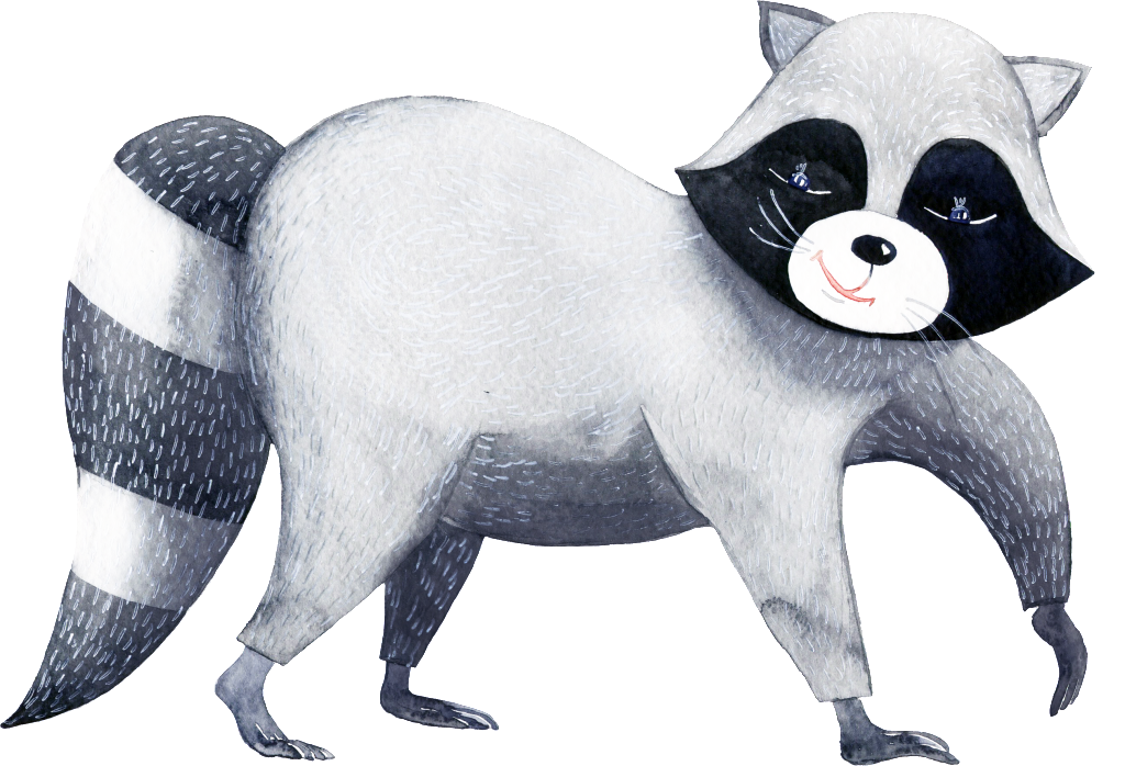 Gray Hand Drawn Animal Cartoon Watercolor Beautiful - Chicraccoon-ruhestands-party Karte (1024x698), Png Download