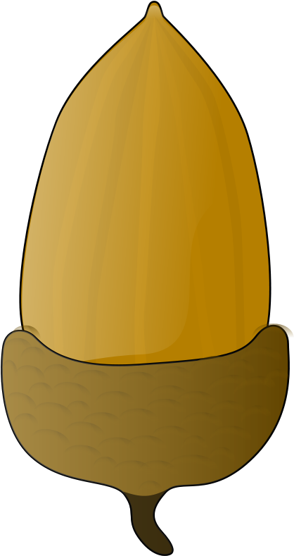 Free Vector Acorn Clip Art - Acorn Clip Art (312x590), Png Download