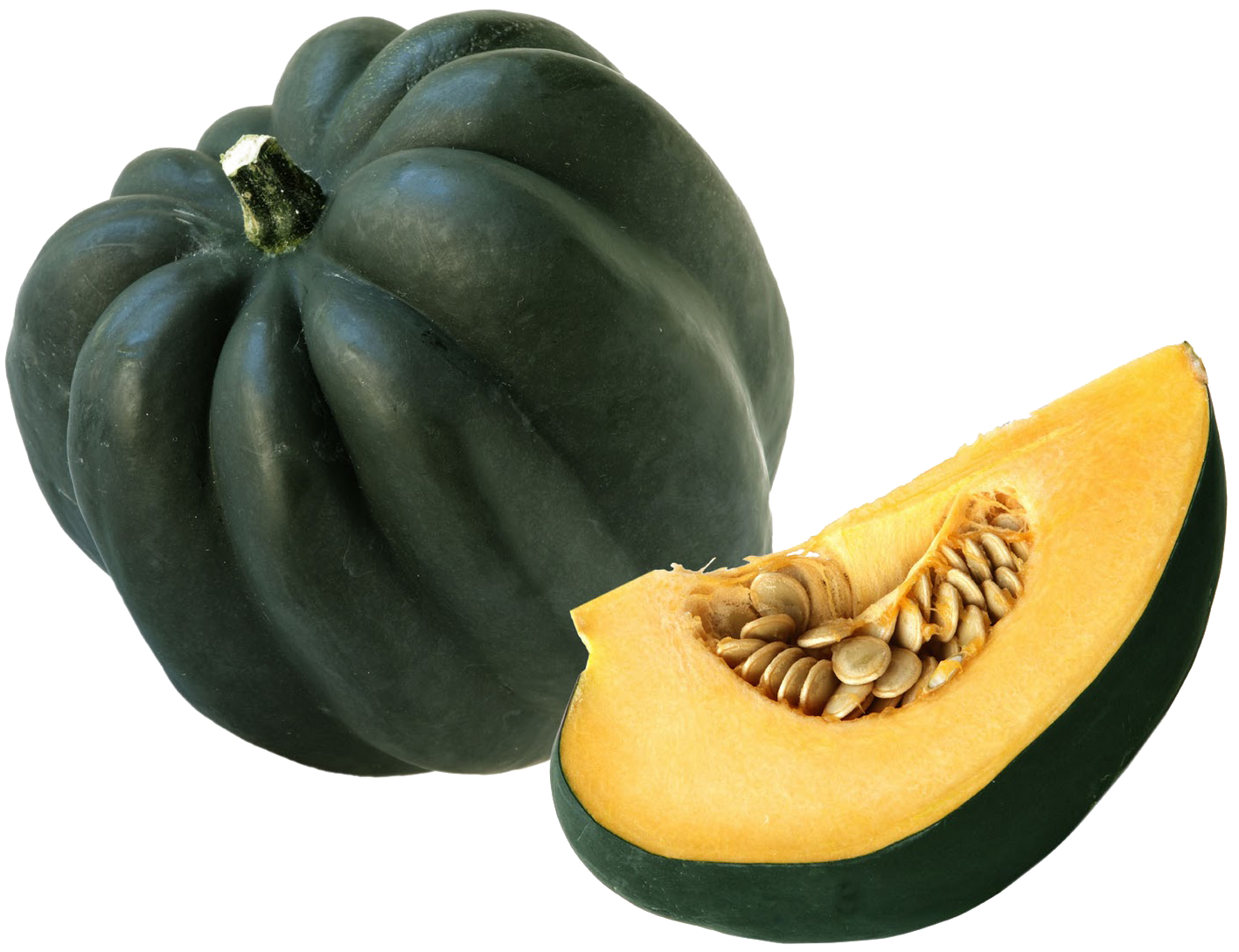 Acorn Squash Png Hd - Acorn Squash (1600x1372), Png Download