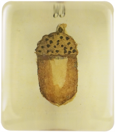 Acorn Acorn - Candle (500x500), Png Download