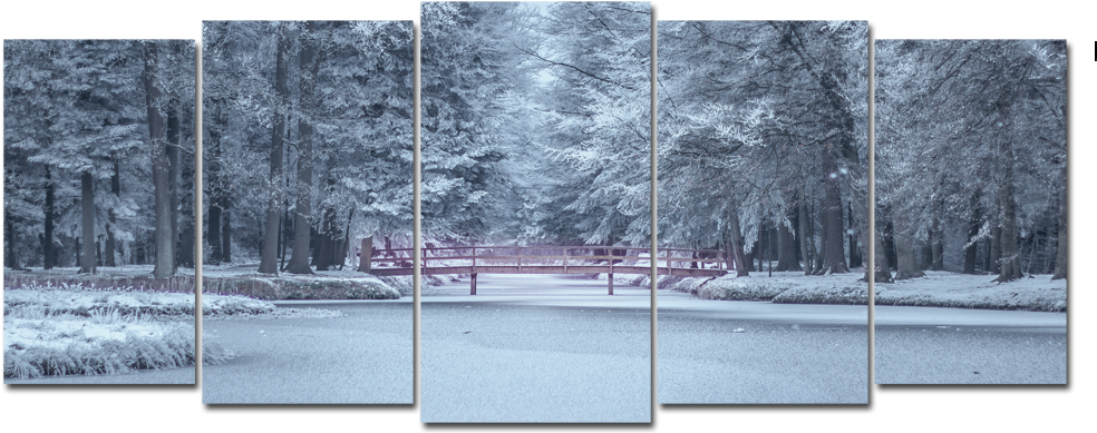 Nature During Winter (1000x400), Png Download