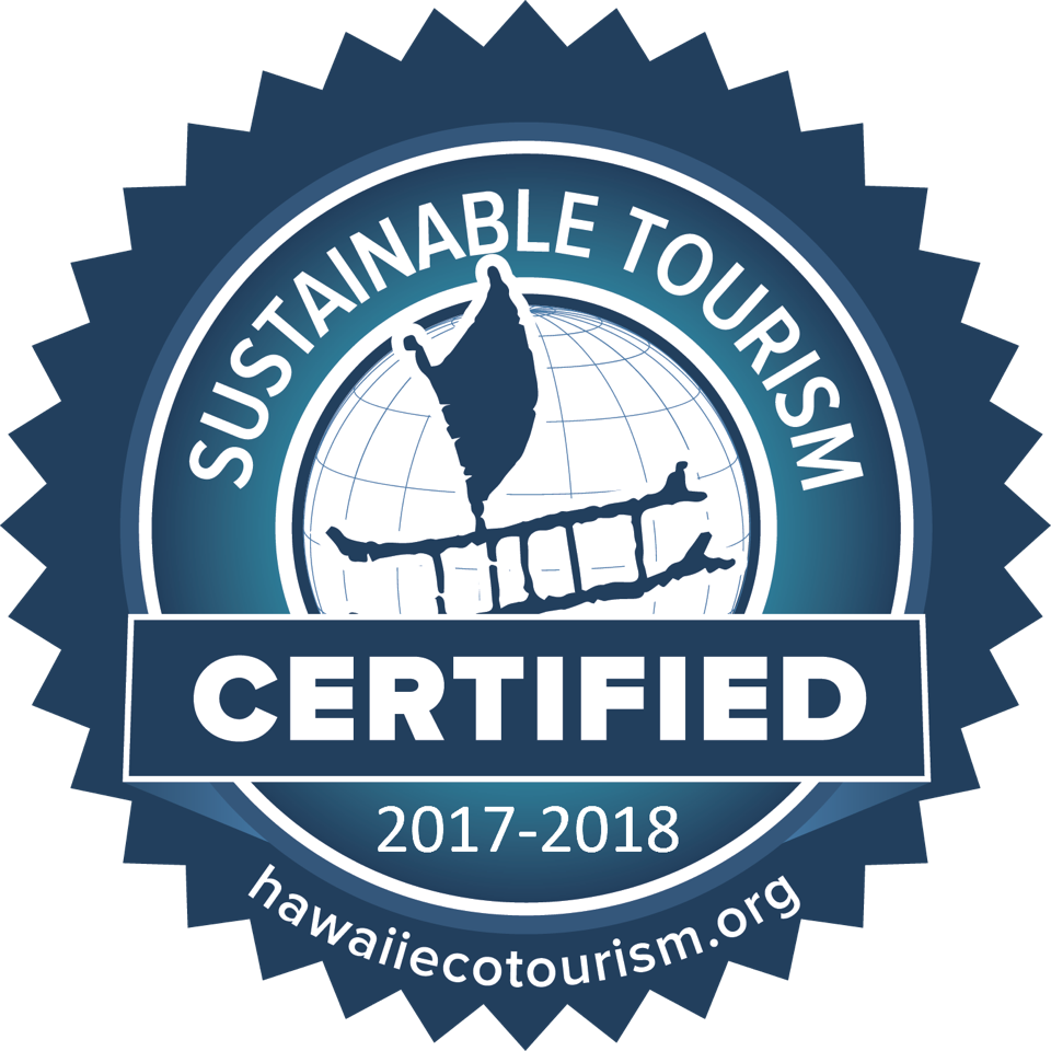Sustainable Tourism Certified - New York Times Critics Pick Logo Png (960x960), Png Download