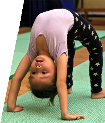 Gymnastics Classes For Kids - Gymnastics (550x427), Png Download