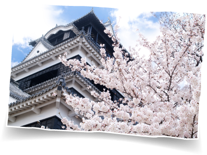 Kumamotokumamoto Castle - Kumamoto Castle (436x322), Png Download