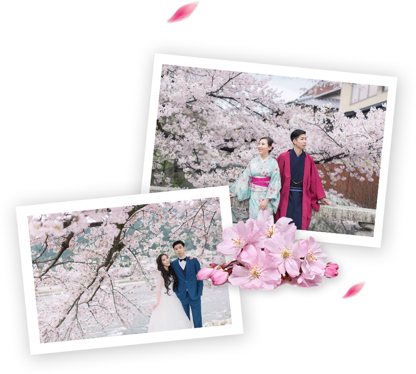 Best Cherry Blossoms Spots In Japan - Enther Bath Bombs Gift Set, 6 Pack Large Size (3.18 (853x767), Png Download
