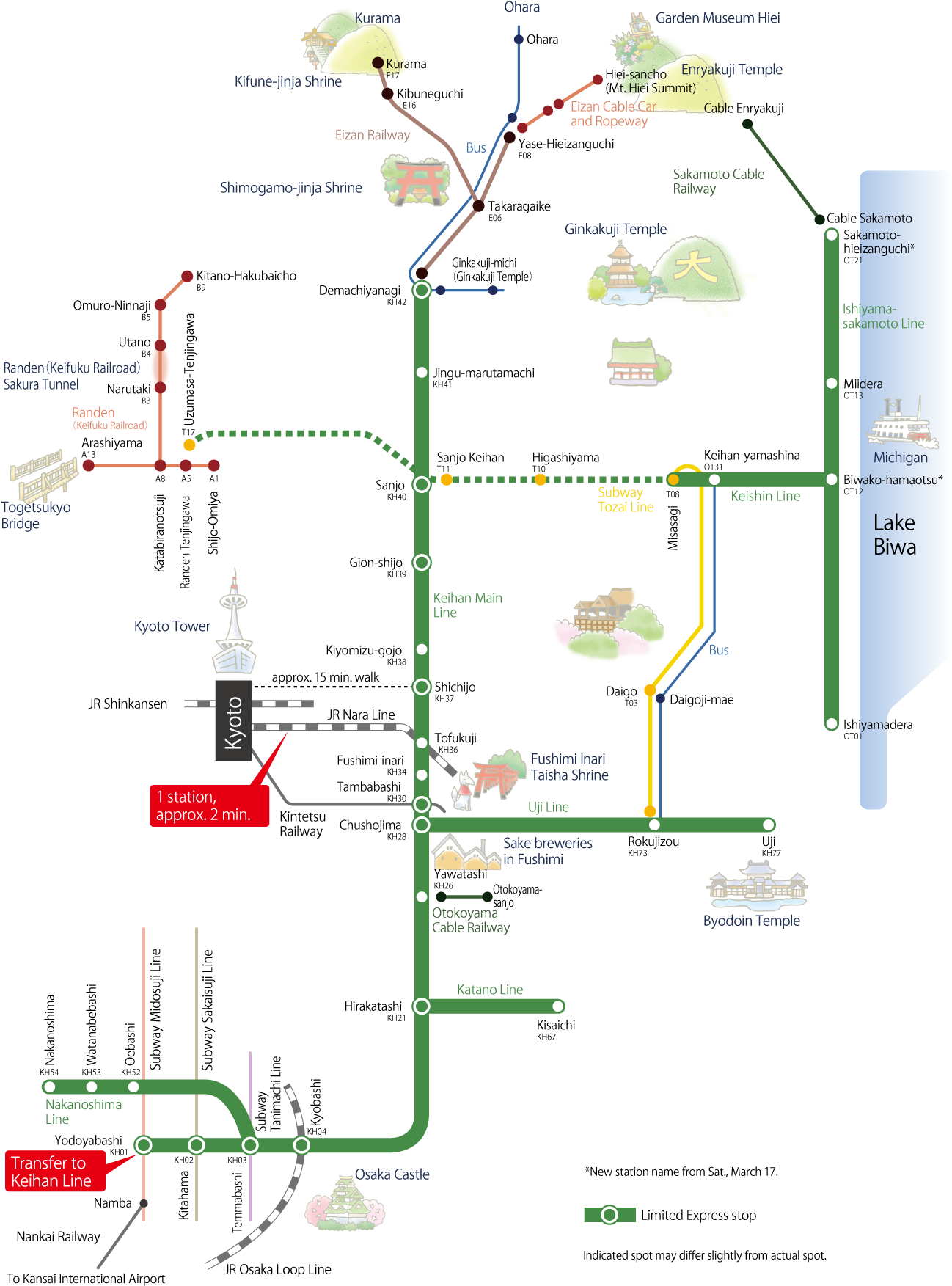 Japanese Cherry Blossoms Special - Diagram (1317x1785), Png Download