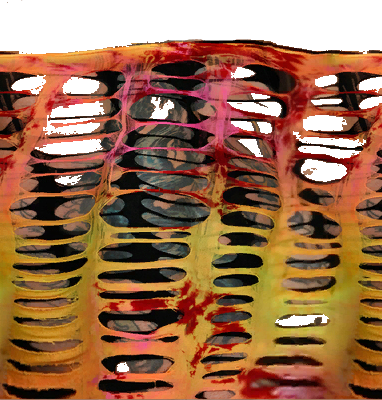 Https - //i - Imgur - Com/yo2gokn - Jeff Hardy Armbands Wwe 2k18 (382x400), Png Download