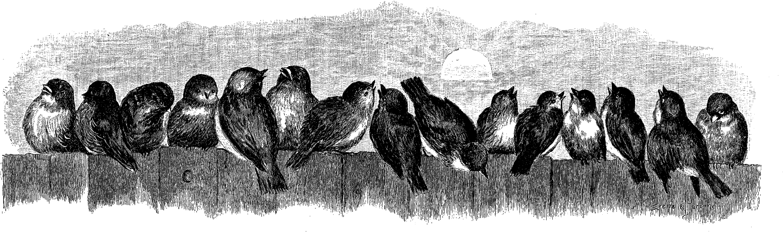 This Is Such A Wonderfully Charming Bird Image, Especially - Birds Fence Bt Beach Towel (1600x502), Png Download