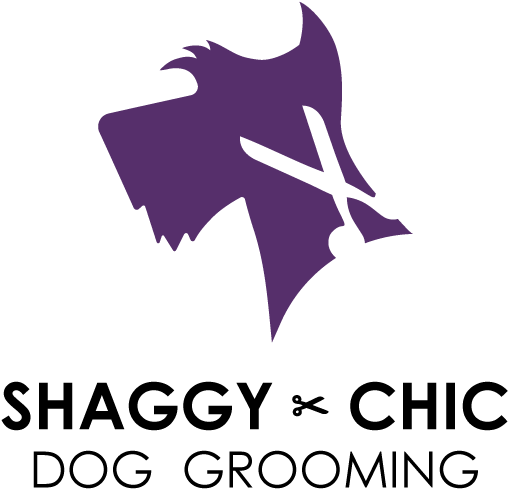 Shaggy-chic (595x595), Png Download