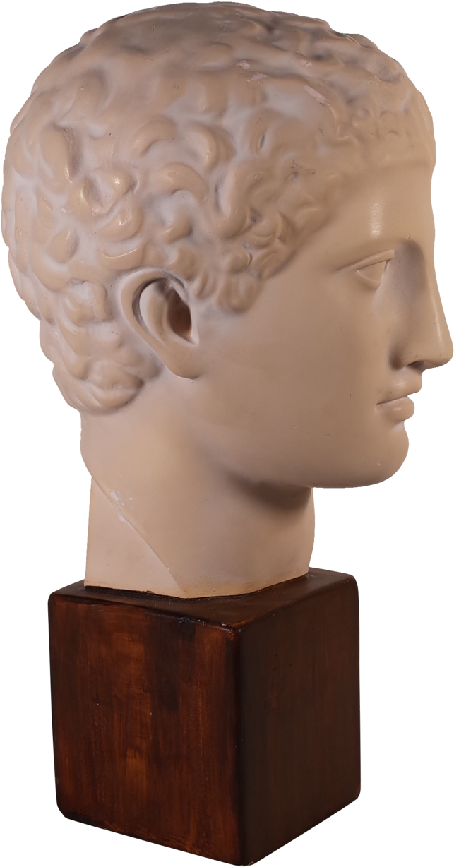 Plaster Bust Of Roman Male - Bust (1024x1600), Png Download
