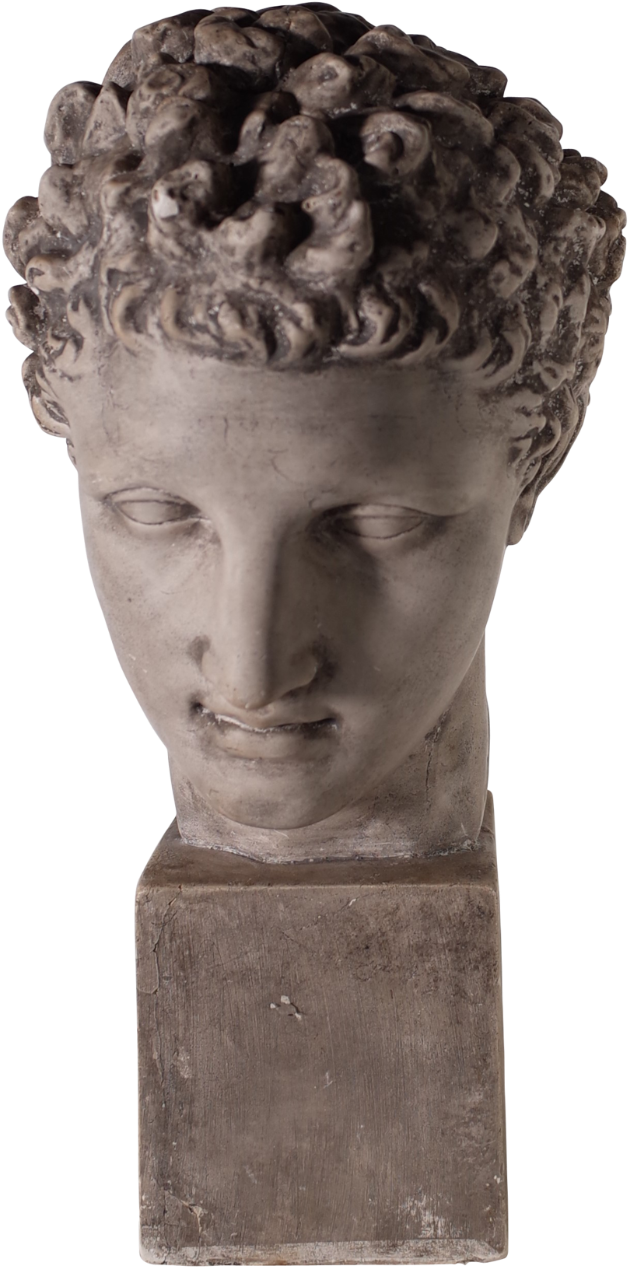 Plaster Bust Of David Fon Png David Bust Statue - Museum (796x1600), Png Download