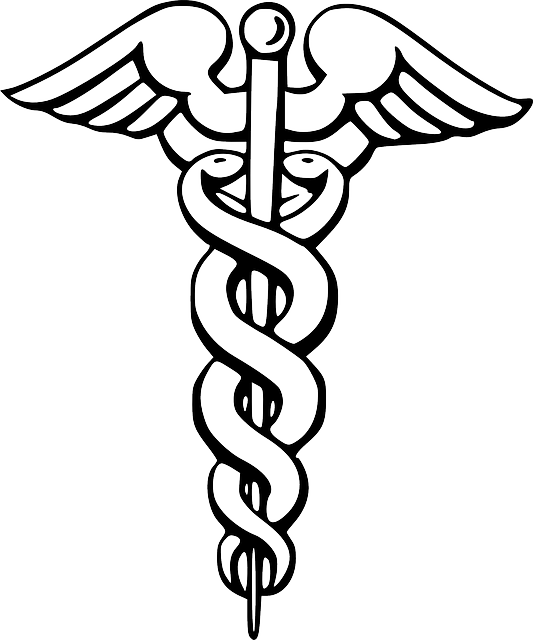Snake, Symbol, Pin, Doctor, Wing, Free, Pharmacy, Staff - Caduceus Svg (533x640), Png Download