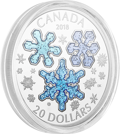2018 $20 1 Oz Fine Silver Coin - Silver (570x570), Png Download