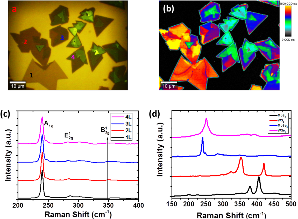 Raman2 - 2d Materials Raman Spectroscopy (1158x873), Png Download