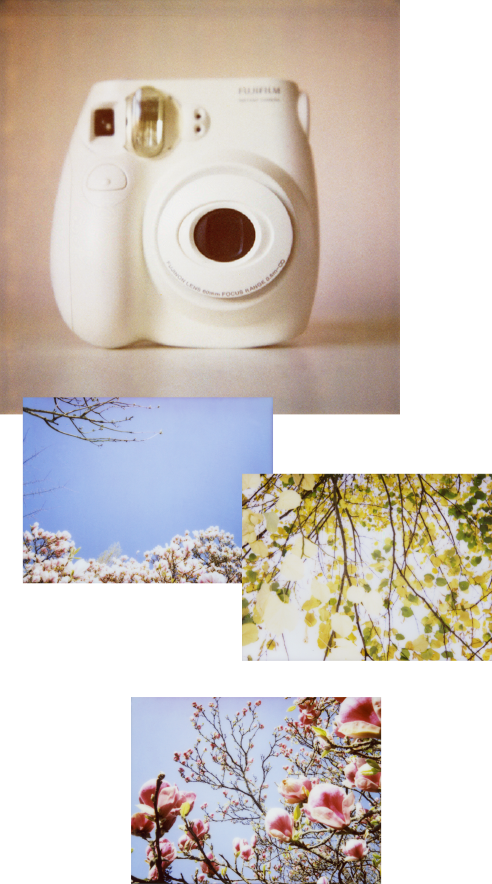 Gerri Sells Tested Polaroid Cameras Including Spectras - Do Polaroid Pictures Look (492x884), Png Download