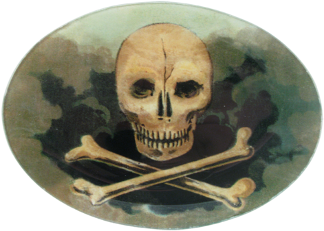 Skull & Crossbones Skull & Crossbones - Skull (500x500), Png Download