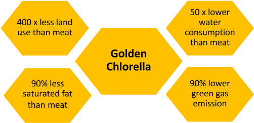 Infographics Showing The Attributes Of Golden Chlorella - Big Data (539x305), Png Download