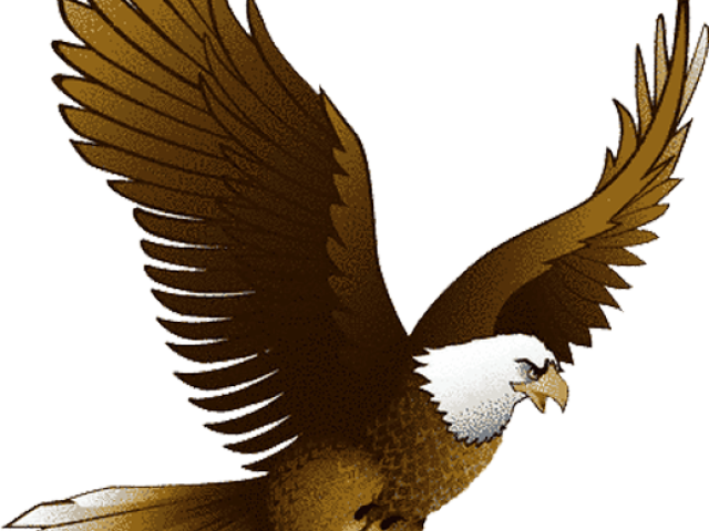 Eagle Clipart Wrestling - Clip Art Eagle Png (640x480), Png Download