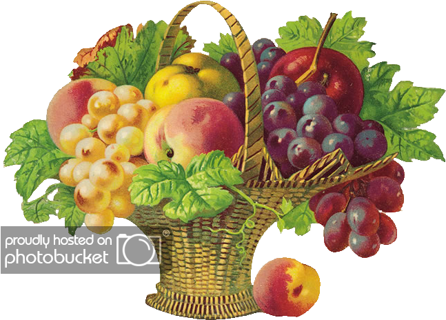 Fruit-basket - Get Well Soon Fruits (650x478), Png Download