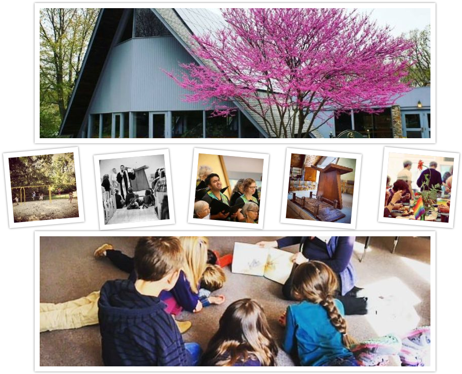 Collage1-1024x768 - Unitarian Universalist Congregation Of Princeton (1024x768), Png Download