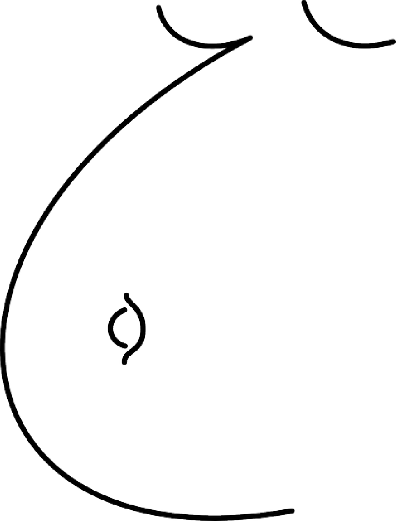 Mb Image/png - Pregnant Belly Clipart (800x1053), Png Download