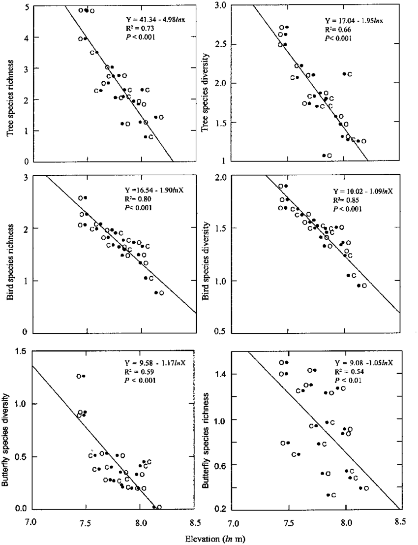 Simple Regression Comparison Of Woody Tree, Bird And - Diagram (850x1107), Png Download