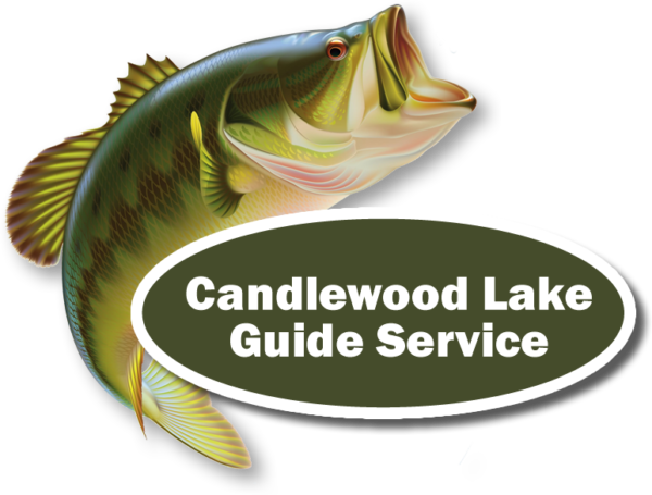 Candlewood Lake Half Day Fishing Trip - Black Bass (600x455), Png Download
