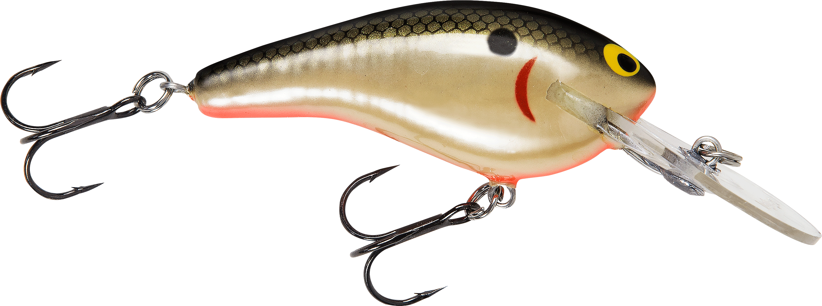 Download Bass Fish Png Clipart Best Bass Fishing Lures Transparent
