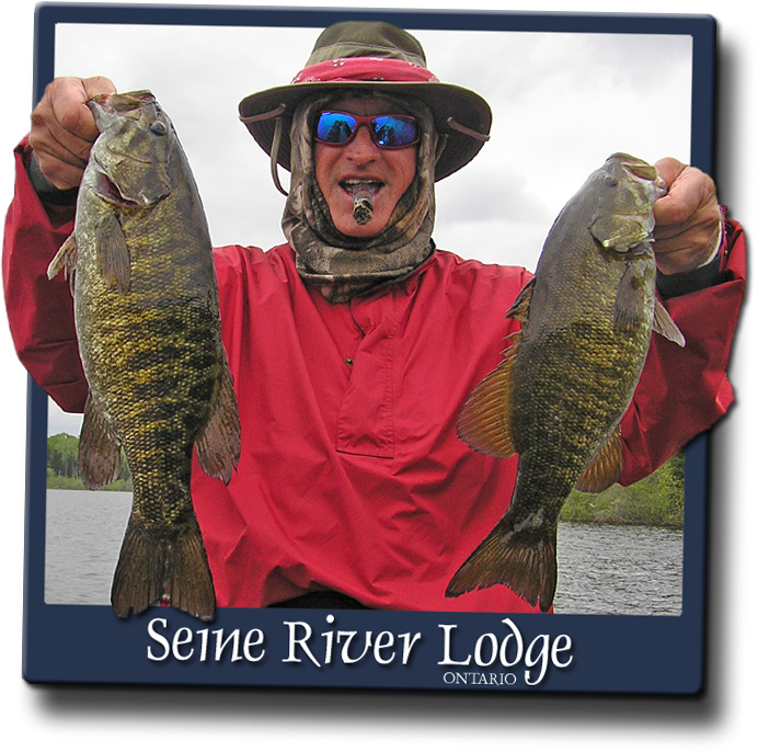 When To Fish Smallmouth Bass On The Seine Chain - Bass (692x686), Png Download