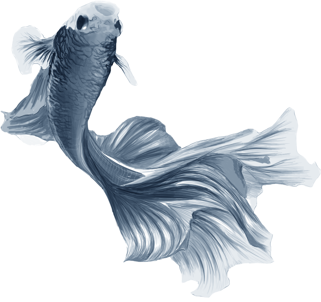 Fishyyy - Illustration (1574x989), Png Download