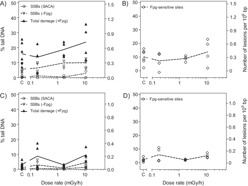 Dna Damage In Cells From Adult F1 Worms Exposed To - Comet Assay (850x636), Png Download