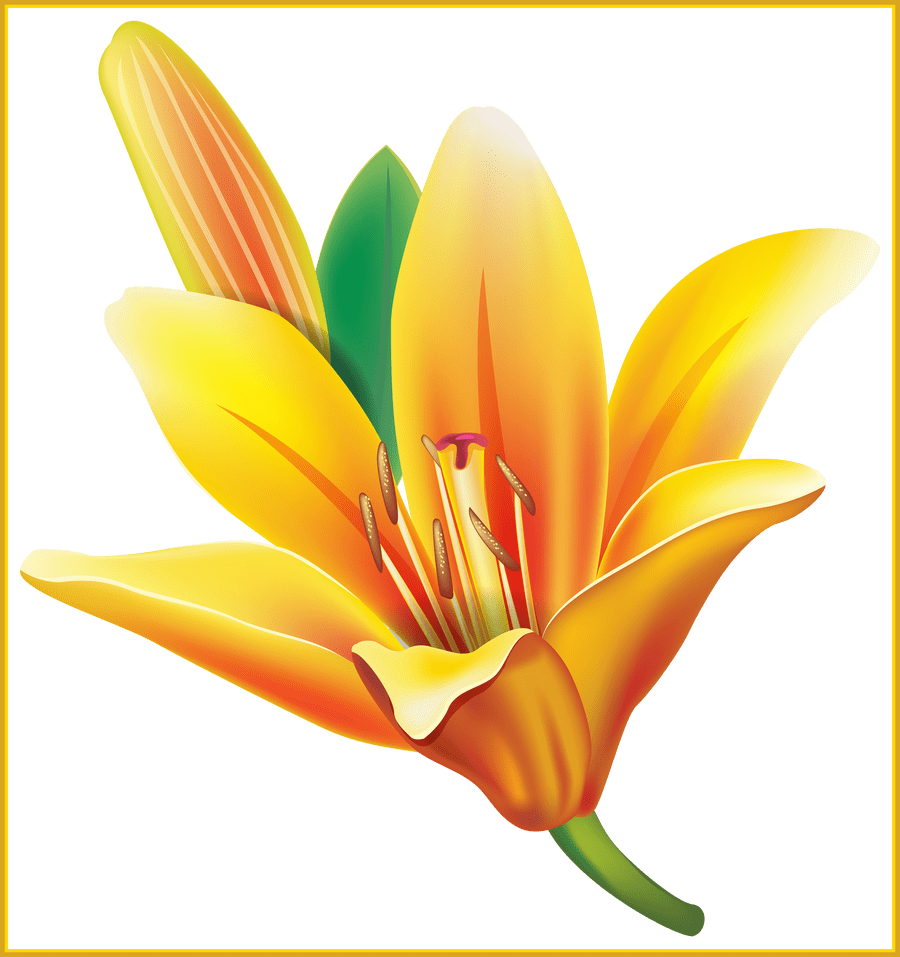 Appealing Real Flower Pencil And In Color - Flower Png (900x957), Png Download