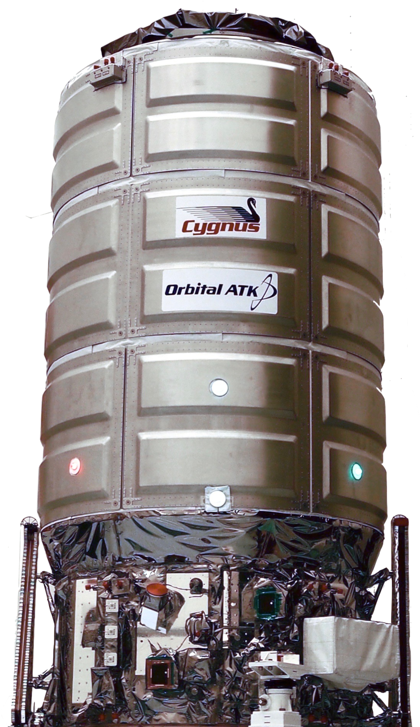 Cygnus Pic - A Bunch Of Stuff (1000x1500), Png Download