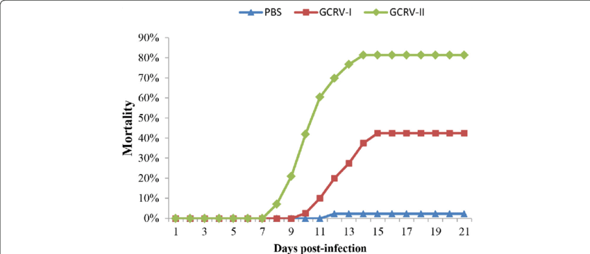 Cumulative Mortality Of Fish - Fig.1 (850x366), Png Download
