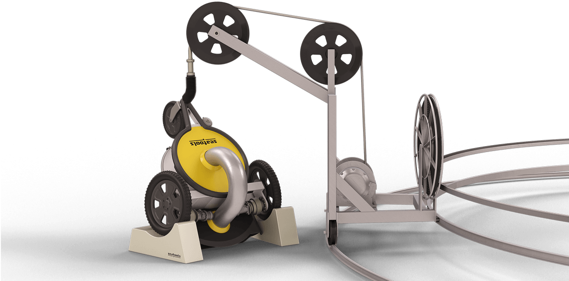 Other Features - Fish (1170x590), Png Download