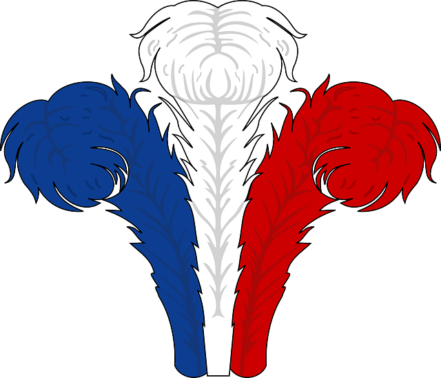 Red, Blue, White, Feathers - Rojo Azul Y Blanco (640x548), Png Download
