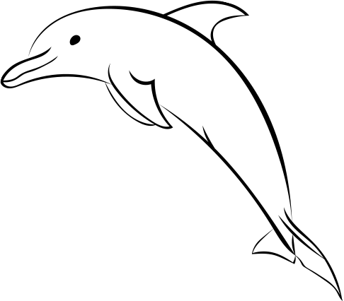 Png Freeuse Download Dolphin Picture At Getdrawings - Bottlenose Dolphin Drawing (486x426), Png Download