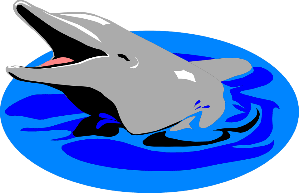 Graduation Clipart Dolphin - Dolphin In Water Clipart (958x619), Png Download