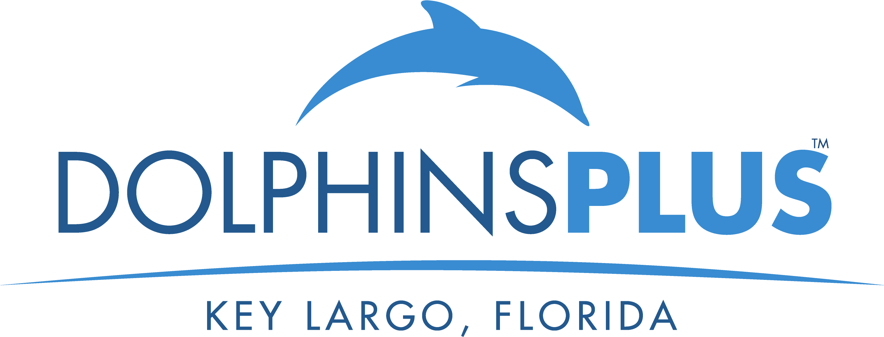 Dolphins Plus (3302x1488), Png Download