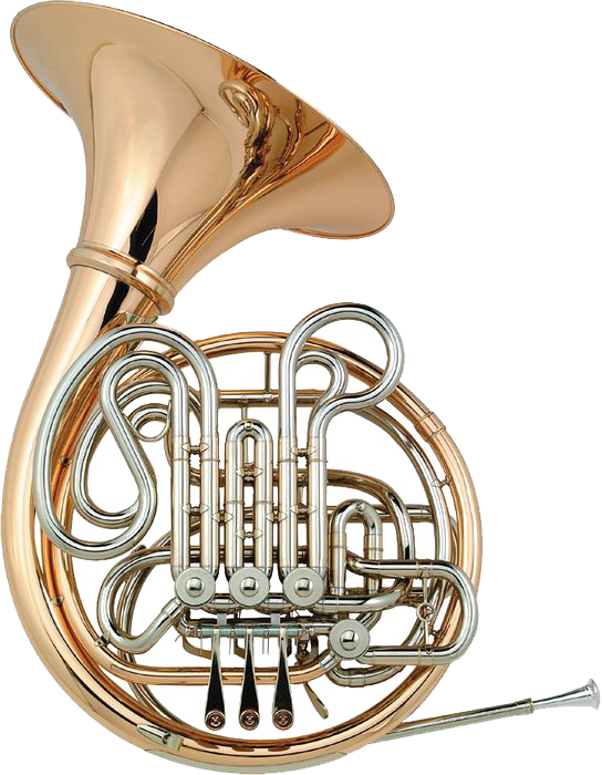 Holton H105 Professional French Horn - Holton H200 French Horn (544x700), Png Download