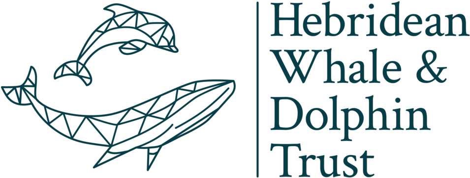 Dolphins Logo Png (1000x399), Png Download