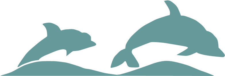 The Dolphin House Logo - House (800x300), Png Download