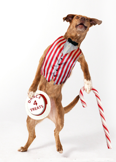 All Annoying Behaviors - Photography (448x626), Png Download