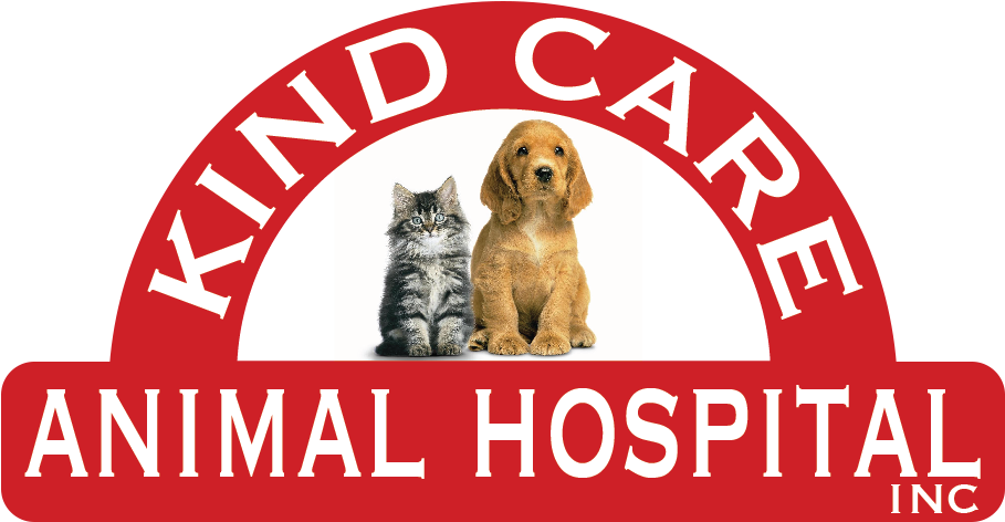 Kind Care Animal Hospital - Rescued Is My Favorite Bree Square Sticker 3" X 3" (986x515), Png Download