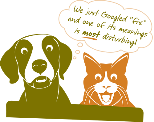 This Is A Contentious Topic Among Vets And Pet Owners - Dog (500x396), Png Download