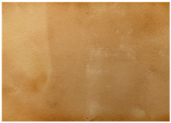 Wood (400x400), Png Download